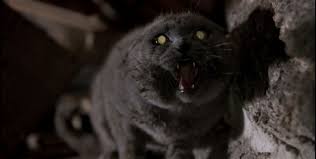 Pet Sematary